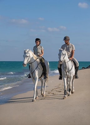 Deluxe Room Near Sir Bani Yas Wildlife Park 10 Luxury Bookings