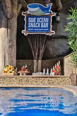 Premium Room Near Hippo Feeding 13 Luxury Bookings