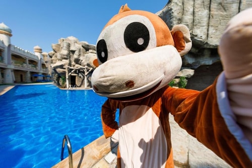 Premium Room Near Hippo Feeding 12 Luxury Bookings