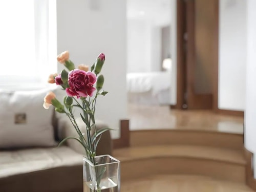 Standard Studio Near Cosmo Nannies LON 12 Luxury Bookings