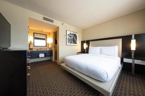 King Room Near William P Hobby Airport HOU 1 Luxury Bookings