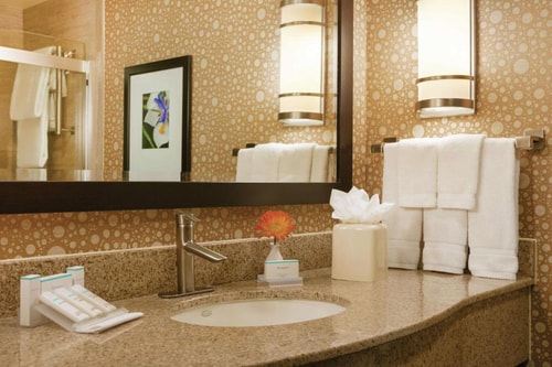 Deluxe Room Near Aerodrome Ice Skating Complex HOU 2 Luxury Bookings