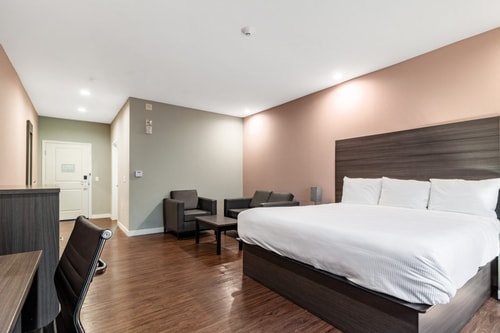 Deluxe King Studio Near Harmony Garden HOU 2 Luxury Bookings