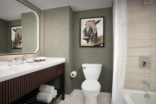 King Suite Near Swiss Watch & Diamond Exchange DAL 5 Luxury Bookings