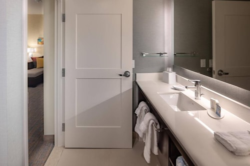 King Studio Near Dallas Animal Services DAL 3 Luxury Bookings