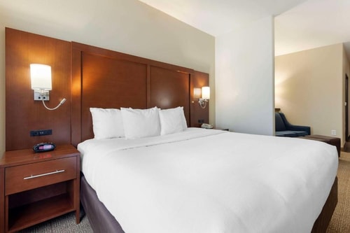 King Suite Near Frances Rizo Park DAL Luxury Bookings