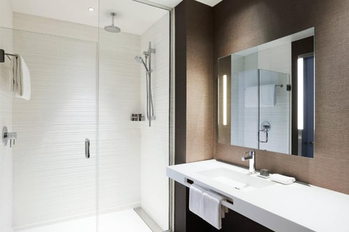 King Room Near Dallas World Aquarium DAL 4 Luxury Bookings