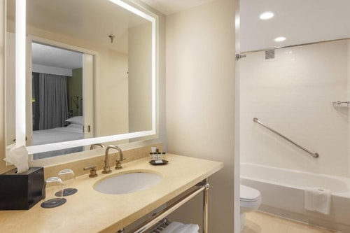 One Bedroom Suite Near Medieval Times Dinner DAL 4 Luxury Bookings