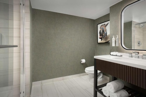 King Suite Near Swiss Watch & Diamond Exchange DAL 6 Luxury Bookings