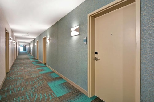 King Studio Suite Near Anderson Park HOU 9 Luxury Bookings