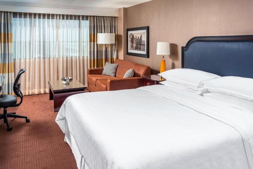 King Room Near Nativity Pilgrimage HOU 1 Luxury Bookings