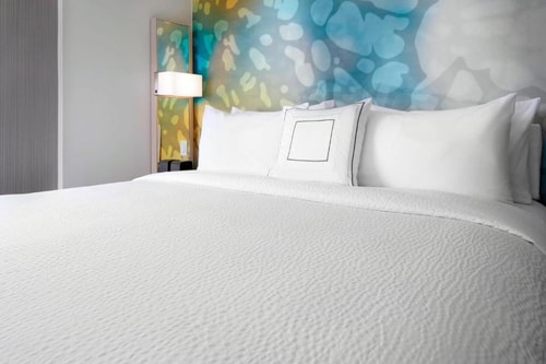 King Room With Sofa Bed Near Federal Aviation HOU Luxury Bookings