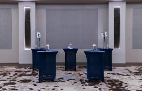 King Room Near Central Station Capitol Wb HOU 11 Luxury Bookings