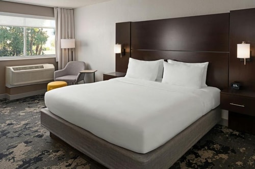 Standard King Room Near Legacy Universal ORL 2 Luxury Bookings