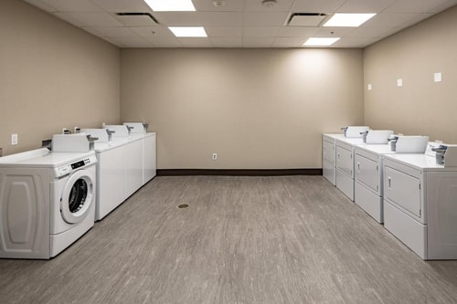 King Studio Near Dallas Animal Services DAL 12 Luxury Bookings