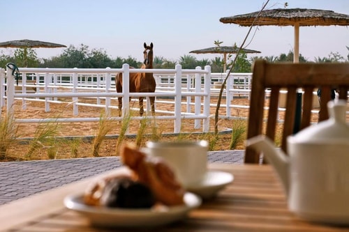 One Bedroom Pool Villa Near Bani Yas Wildlife Park 7 Luxury Bookings