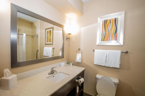 King Suite Near Maddies Baseball Field HOU 7 Luxury Bookings
