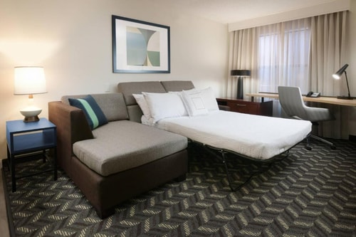 Studio Suite Near Glazer's Beer and Beverage DAL Luxury Bookings
