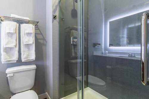 Deluxe King Studio Near Harmony Garden HOU 7 Luxury Bookings