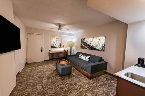 King Suite With Sofa Bed Near NRG Center HOU 1 Luxury Bookings