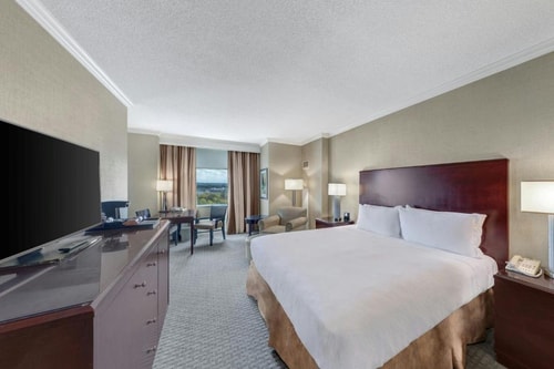 King Room Near Heart of Texas Classic DAL 1 Luxury Bookings