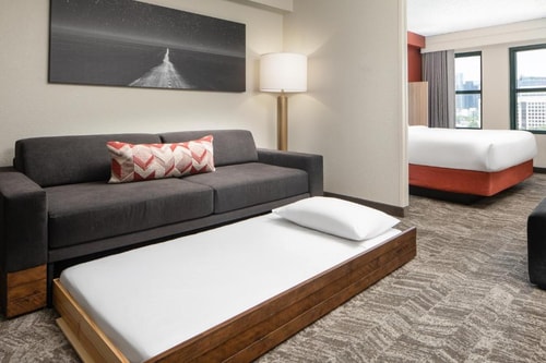 King Suite Near The Dallas World Aquarium DAL 2 Luxury Bookings