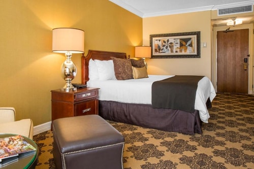 Deluxe Room Near Woodland Field Station HOU 3 Luxury Bookings