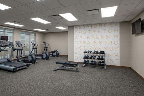 King Studio Near Dallas Animal Services DAL 6 Luxury Bookings