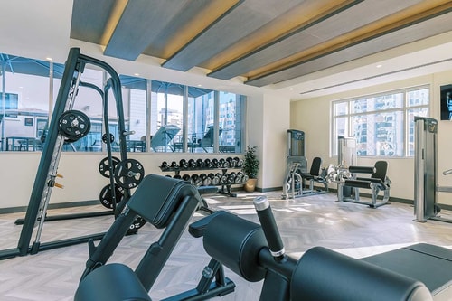 2 Bedroom Suite Pet Allowed Near Dubai Creek Plaza 17 Luxury Bookings
