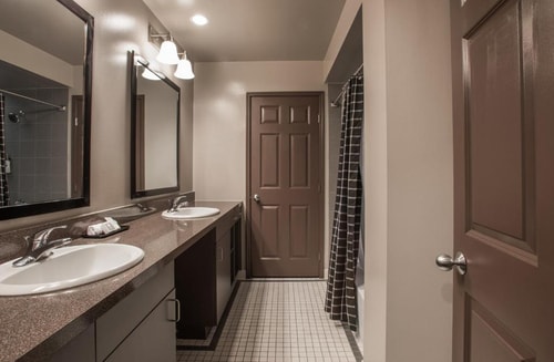 Deluxe Queen Room Near Dallas World Aquarium DAL 3 Luxury Bookings