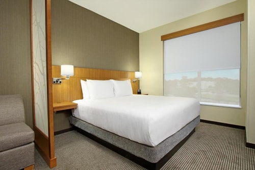 King Room Near Layne Hendrix Memorial Bench HOU 1 Luxury Bookings