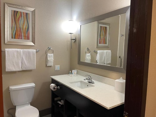 King Suite Near Maddies Baseball Field HOU 5 Luxury Bookings