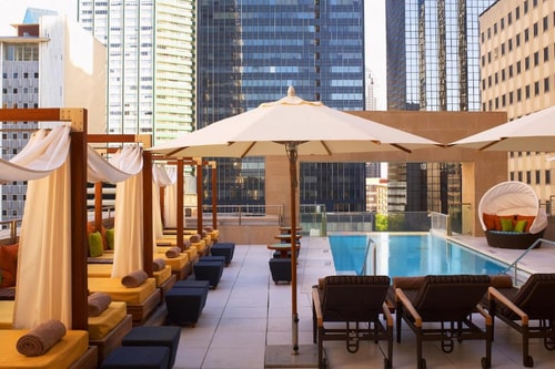 Double Room Near CBD Kratom Downtown Dallas DAL 5 Luxury Bookings