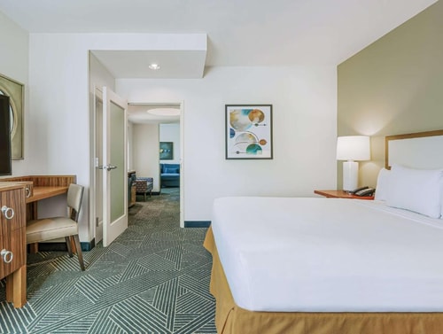 King Suite Near To Toyota Center HOU Luxury Bookings
