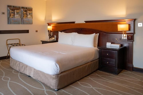 One Bedroom Executive Suite Near Oasis Cafe Luxury Bookings