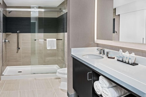 King Studio Suite Near George Bush Park HOU 3 Luxury Bookings
