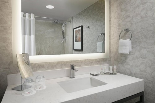 King Guest Room Near Houston Zoo HOU 4 Luxury Bookings