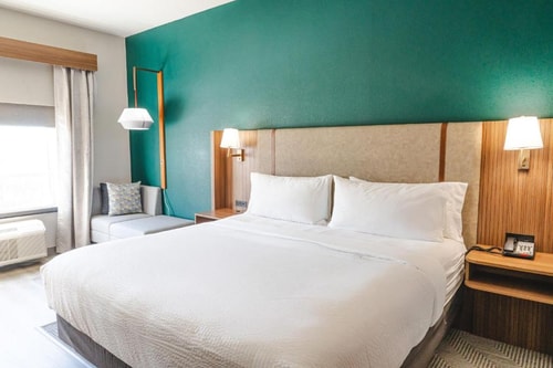 Standard King Room Near SJV Playground HOU 1 Luxury Bookings