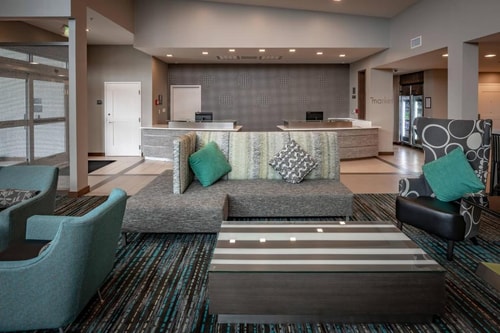 King Studio Near Dallas Animal Services DAL 9 Luxury Bookings