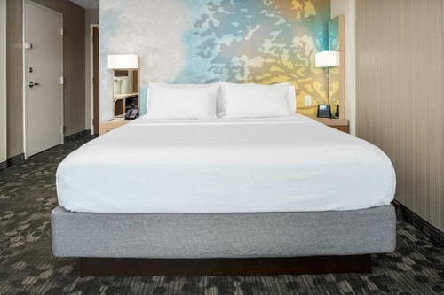 King Room Near Kings lake Forest HOU Luxury Bookings