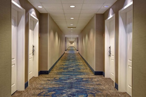One Bedroom King Suite Near North green Park HOU 12 Luxury Bookings