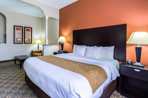 King Suite Near Camden Park Westchase HOU Luxury Bookings