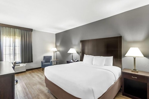 King Room Near Shadowbriar Elementary School HOU Luxury Bookings