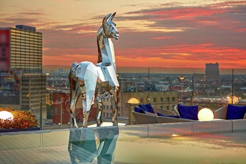 Deluxe King Room Near Main Street Garden Park DAL 13 Luxury Bookings