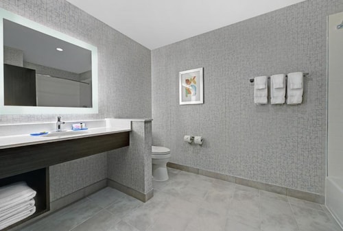Standard King Room Near City Centre Houston HOU 4 Luxury Bookings