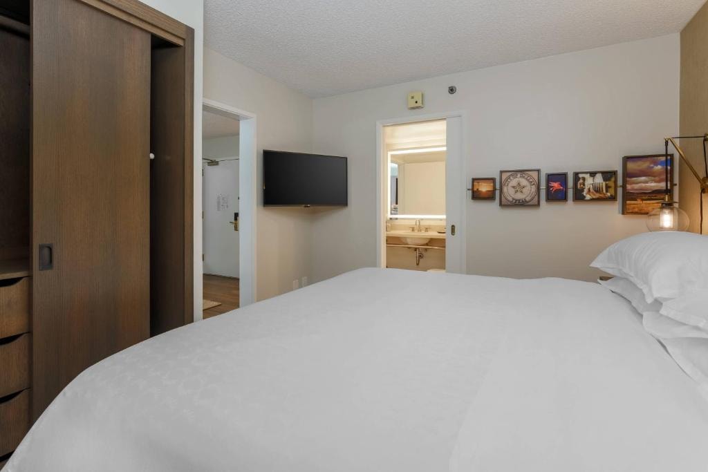 One Bedroom Suite Near Medieval Times Dinner DAL Luxury Bookings