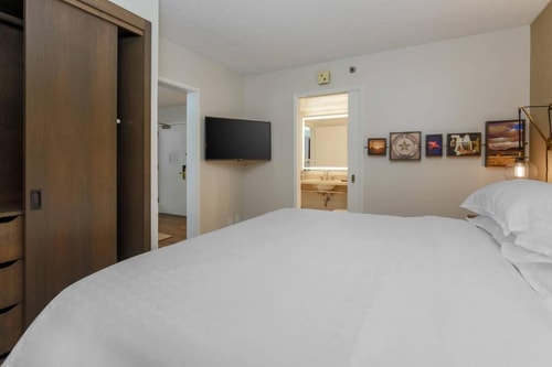 One Bedroom Suite Near Medieval Times Dinner DAL Luxury Bookings