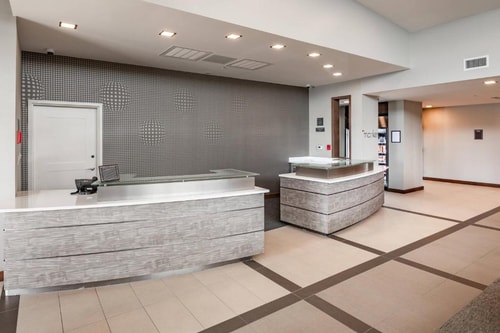 King Studio Near Dallas Animal Services DAL 11 Luxury Bookings
