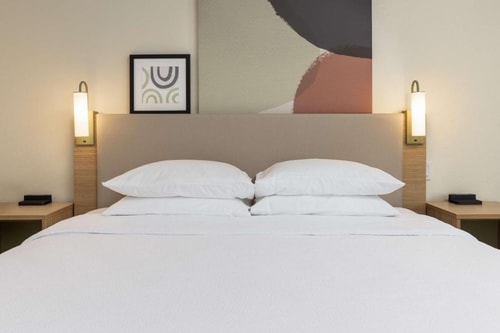 King Room Near Galen College of Nursing Hoston HOU 4 Luxury Bookings