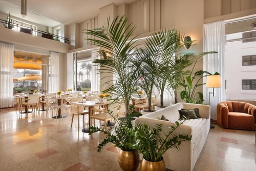 Deluxe King Room Near Coyote Taqueria MIA 8 Luxury Bookings